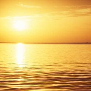 Meet your Posher, Villa